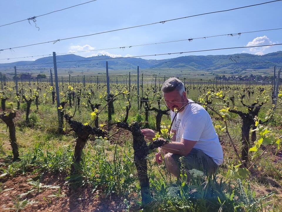 Jiessevins_Vin_Caviste_Feel_the_Wedding_2025_6 Jiessevins Caviste vin et spiritueux exposant au salon du mariage Feel the Wedding 2025.